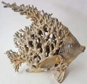 Coral Fish