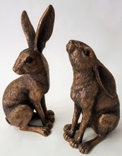 Hares